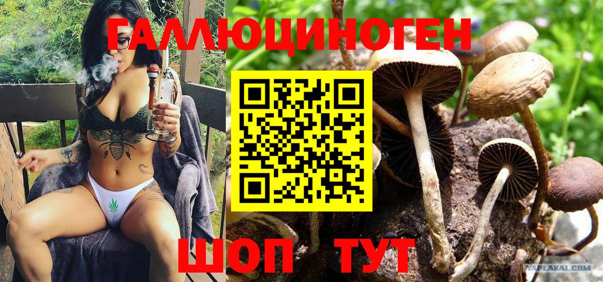 Галлюциногенные грибы MAGIC MUSHROOMS  Вход с VPN  Похвистнево  даркнет сайт  Галлюциногенные грибы ЛСД 